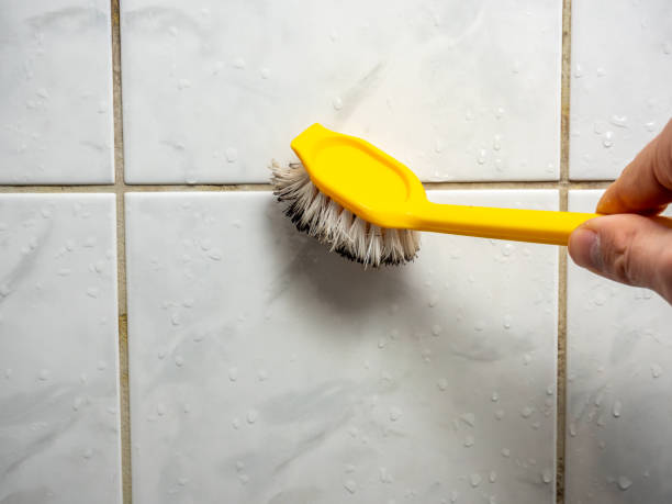 Best Insurance-Related Mold Remediation in Elizabethtown, NC
