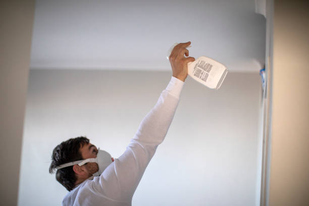 Best Mold Testing and Inspection Services in Elizabethtown, NC