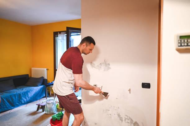 Best Crawl Space Mold Remediation in Elizabethtown, NC